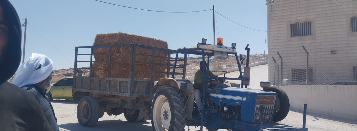 وزارة الزراعة وبالشراكة مع مؤسسة الأرض توزع بالات قش ومكملات غذائية لدعم 42 مربي ثروة حيوانية في يطا.