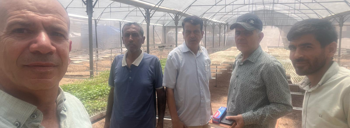 وزارة الزراعة ومن خلال لجنتها العليا في المحافظات الجنوبية تتابع مراحل تنفيذ تأهيل المشتل الزراعي لتعزيز توفير الأشتال ودعم المزارعين.