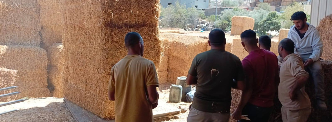 وزارة الزراعة تُسلم 36 طن من أعلاف الثروة الحيوانية (شعير وقش) في المناطق المستهدفة / الأغوار الشمالية.