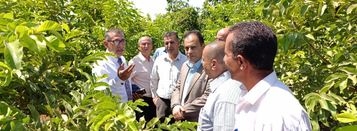 بحث آفاق تسويق المنتجات الزراعية وتعزيز الأمن الغذائي في قلقيلية.