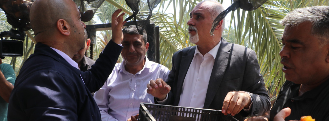 سليمية يعلن عن إنطلاق موسم قِطاف التمور من الجفتلك بإنتاج متوقع يتجاوز 25 ألف طن وصادرات تفوق ال 400 مليون شيكل.