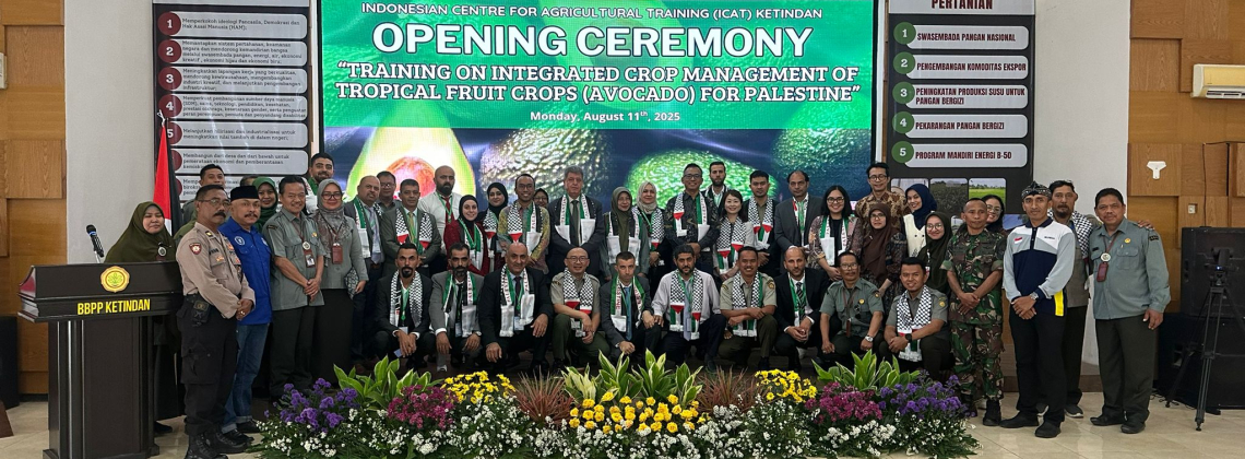 إندونيسيا تستضيف تدريباً لمهندسي وزارة الزراعة حول تقنيات زراعة الأفوكادو.