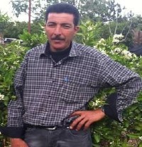 زراعةالاشجار شبه الاستوائية كمحاصيل ذات قيمة اقتصادية عالية