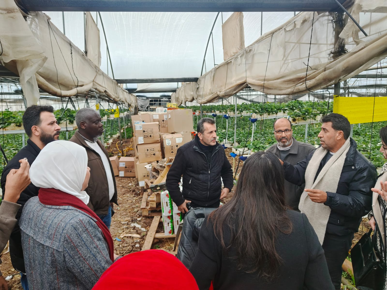 وزارة الزراعة: زيارة ميدانية لأحد المستفيدات من بند المنح ضمن برنامج MAP II في قباطية 2