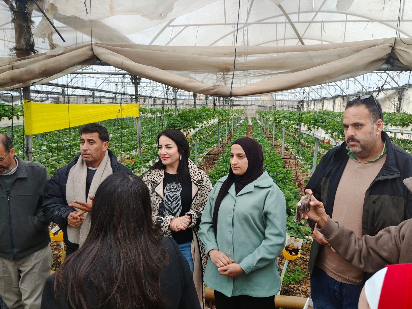 وزارة الزراعة: زيارة ميدانية لأحد المستفيدات من بند المنح ضمن برنامج MAP II في قباطية 3