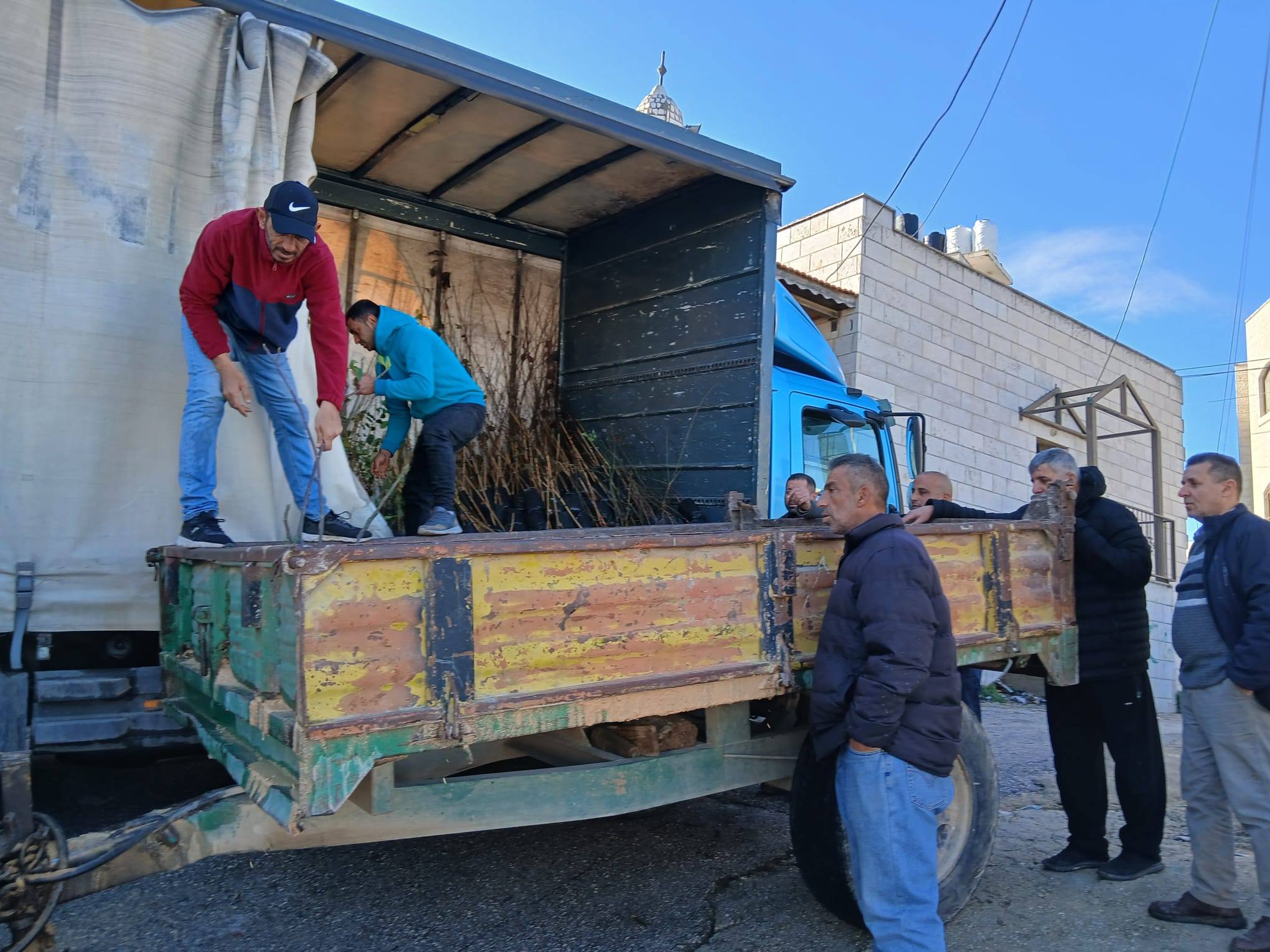 وزارة الزراعة ووكالة بيت مال القدس الشريف وأبحاث الأراضي تنفذان أولى فعاليات مشروع "صمود" بتوزيع 1000 شجرة من اللوزيات والتين لدعم مزارعي القدس. 1