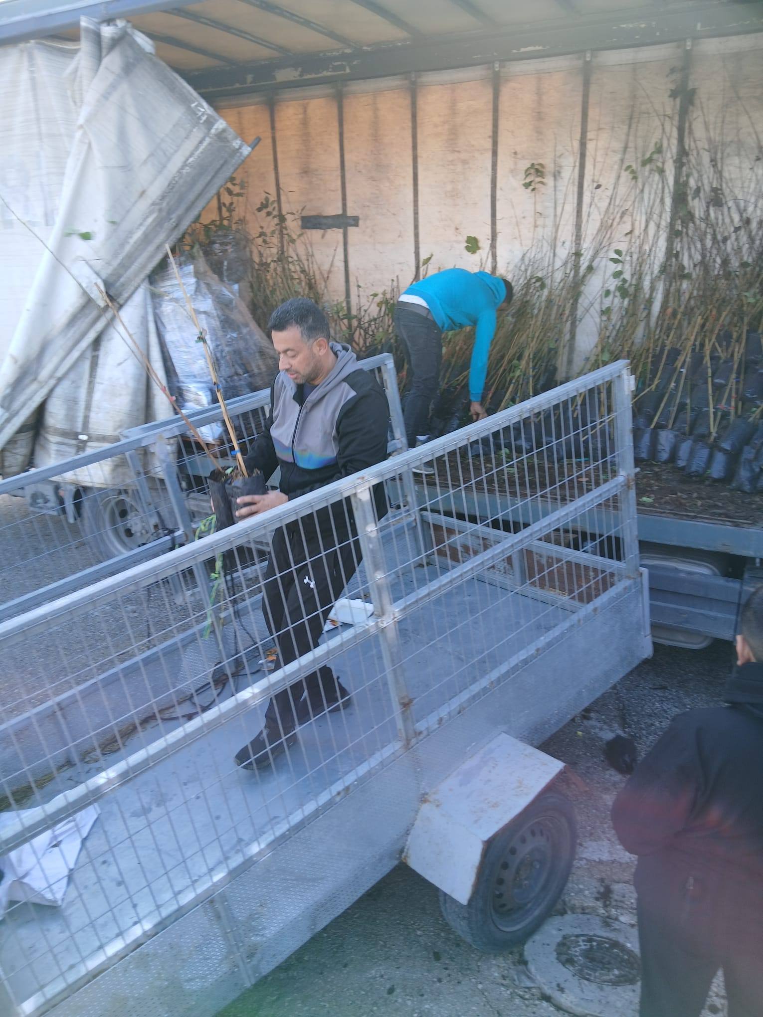 وزارة الزراعة ووكالة بيت مال القدس الشريف وأبحاث الأراضي تنفذان أولى فعاليات مشروع "صمود" بتوزيع 1000 شجرة من اللوزيات والتين لدعم مزارعي القدس. 4