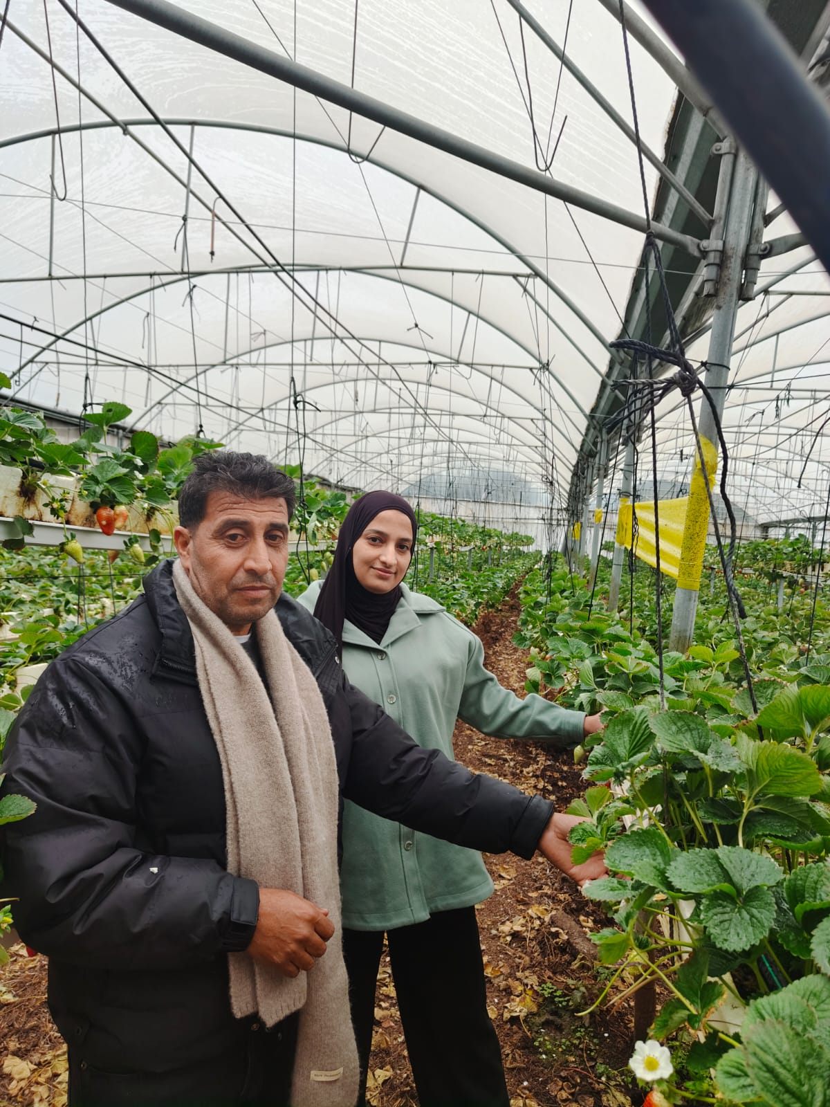 وزارة الزراعة: زيارة ميدانية لأحد المستفيدات من بند المنح ضمن برنامج MAP II في قباطية 1